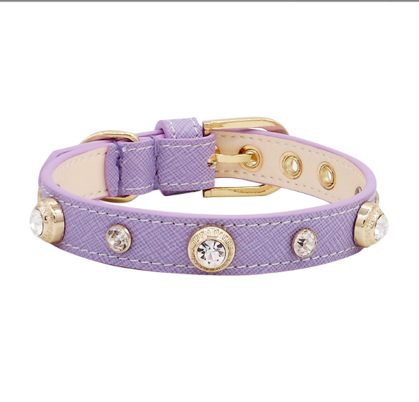 Collier de luxe pour chien Bling