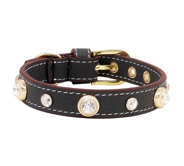 Collier de luxe pour chien Bling
