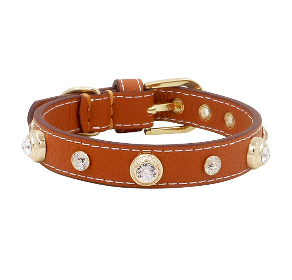 Luxuriöses Hundehalsband Bling