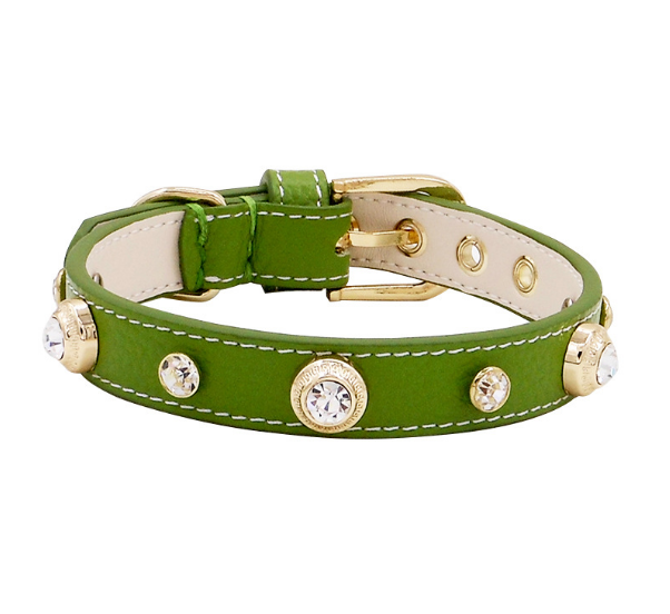 Luxuriöses Hundehalsband Bling