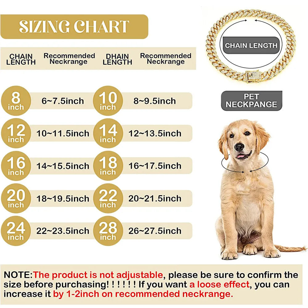 Chunky Gold Hundhalsband - Hund i S/M-storlek
