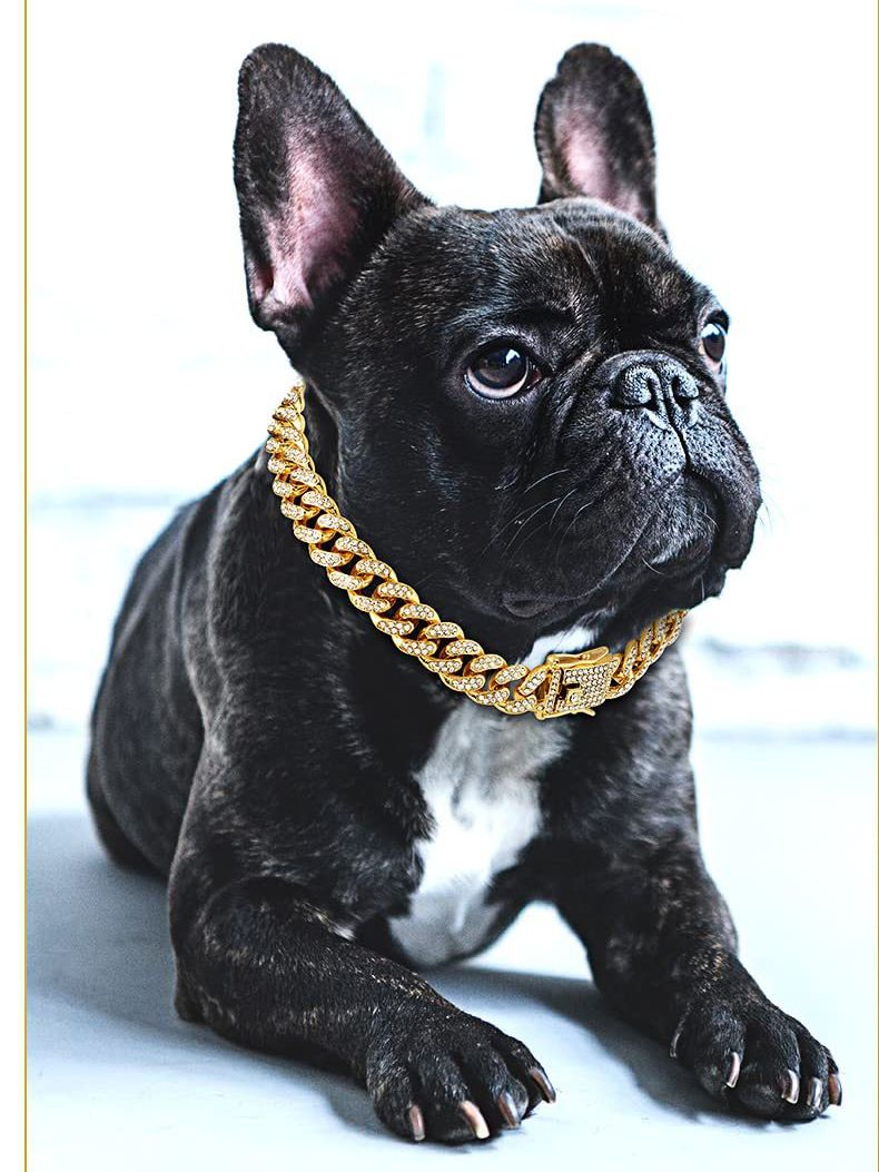 Collier pour chien Chunky Gold - Chien de taille S/M