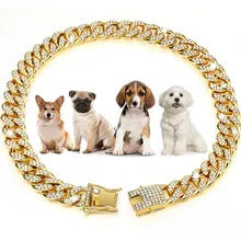 Chunky Gold Hundhalsband - Hund i S/M-storlek